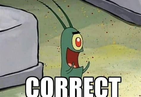 plankton meme face|correct plankton meme.